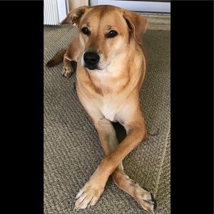 Meet your Posher, Kimbrtly